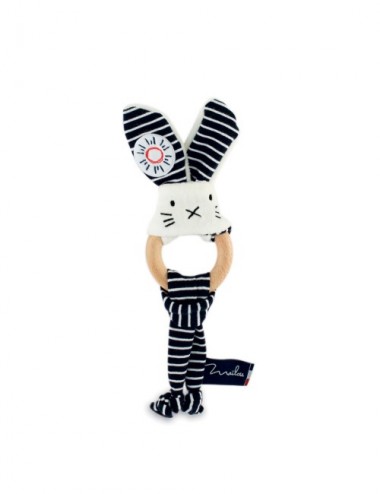 Anneau Dentition Chien -...