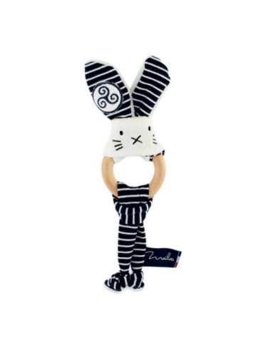 Anneau de Dentition Chien -...